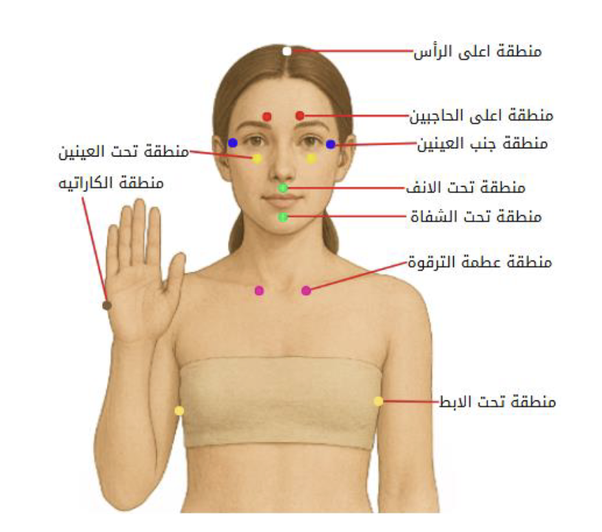 مناطق التربيت في تقنية EFT